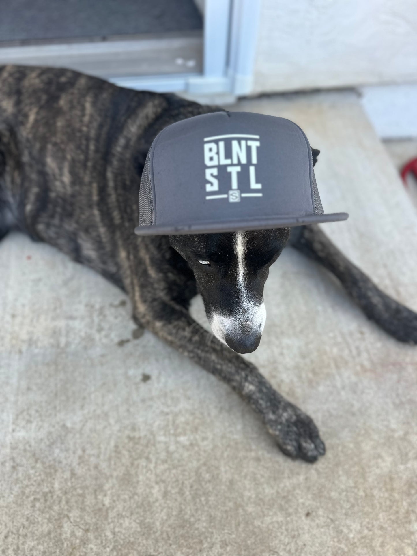 Blunt Steel "Alloy" Grey Trucker Hat