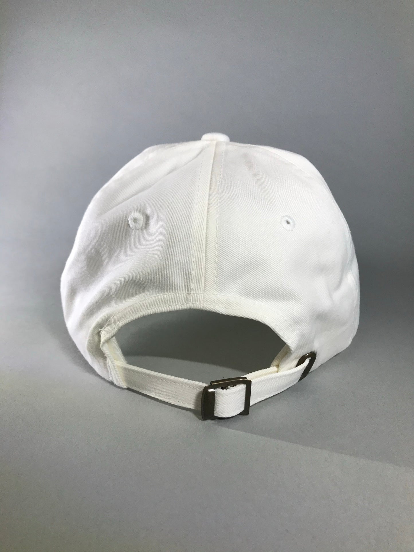 Blunt Steel “Myles” Dad Hat