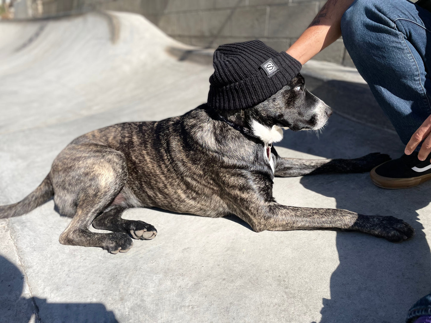 Blunt Steel “Flux Core” Beanie (Thicker)